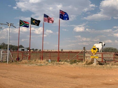 Buy direct from the flag and banner and branded gazebo printing factory