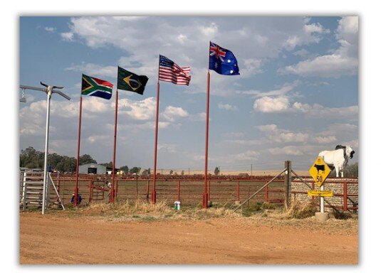 Buy direct from the flag and banner and branded gazebo printing factory